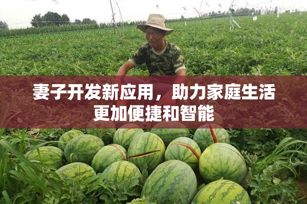 妻子开发新应用，助力家庭生活更加便捷和智能