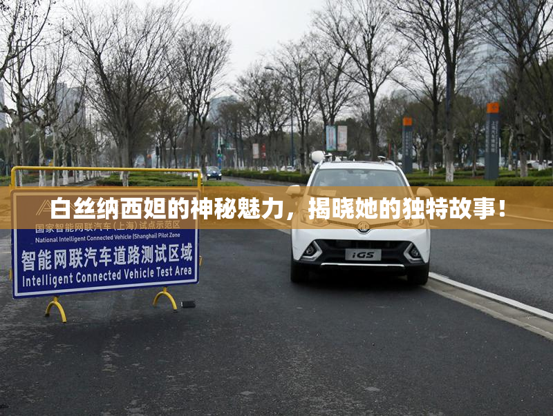 白丝纳西妲的神秘魅力，揭晓她的独特故事！