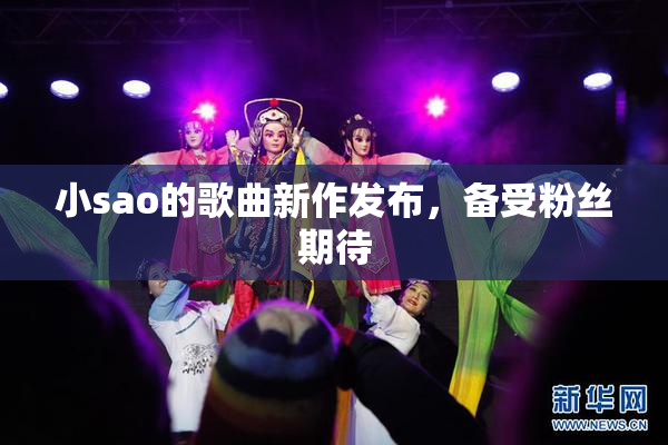 小sao的歌曲新作发布，备受粉丝期待