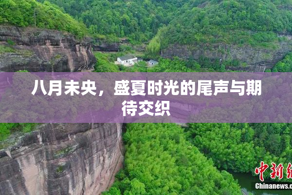 八月未央，盛夏时光的尾声与期待交织