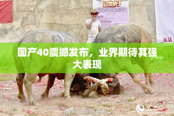 国产40震撼发布，业界期待其强大表现