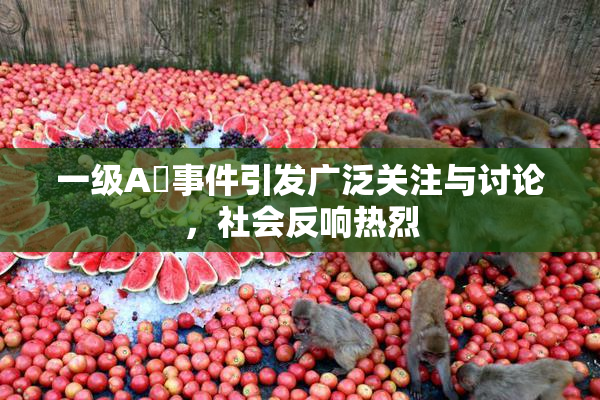 一级A婬事件引发广泛关注与讨论，社会反响热烈