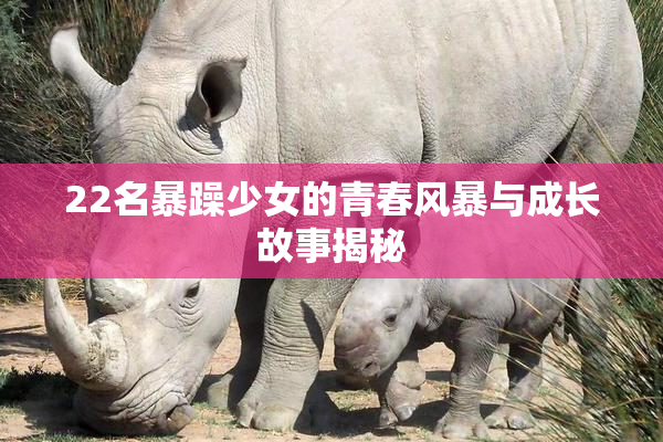 22名暴躁少女的青春风暴与成长故事揭秘