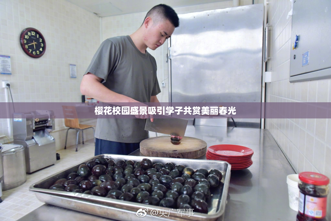 樱花校园盛景吸引学子共赏美丽春光