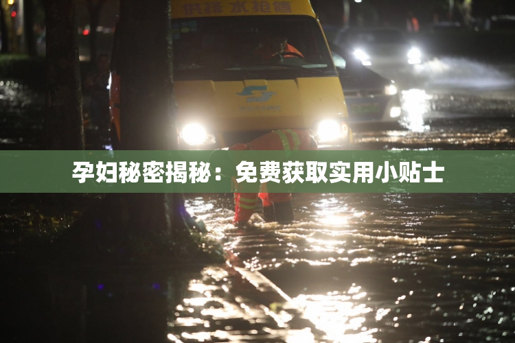 孕妇秘密揭秘：免费获取实用小贴士