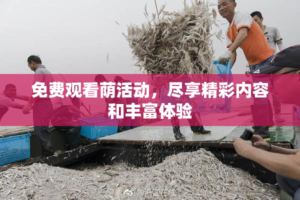 免费观看荫活动，尽享精彩内容和丰富体验