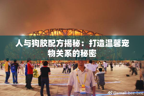 人与狗胶配方揭秘：打造温馨宠物关系的秘密
