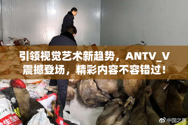 引领视觉艺术新趋势，ANTV_V震撼登场，精彩内容不容错过！