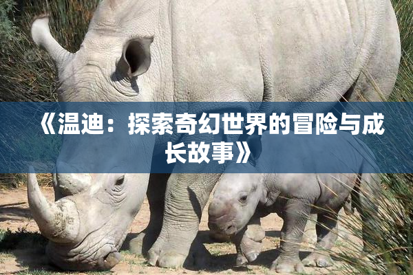 《温迪：探索奇幻世界的冒险与成长故事》