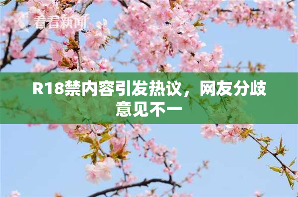 R18禁内容引发热议，网友分歧意见不一