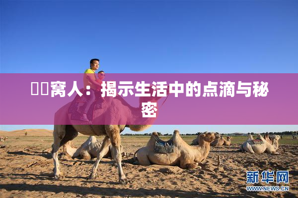 妺妺窝人：揭示生活中的点滴与秘密