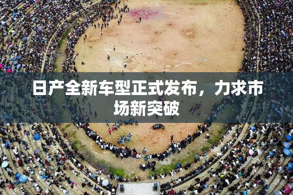 日产全新车型正式发布，力求市场新突破