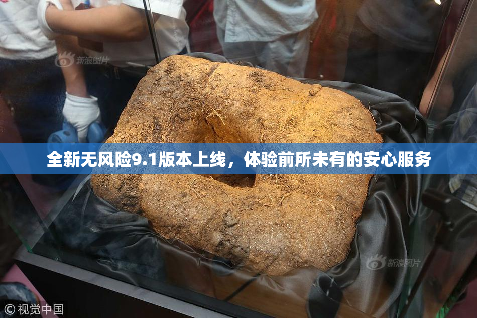 全新无风险9.1版本上线，体验前所未有的安心服务