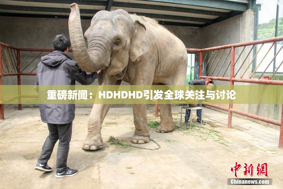 重磅新闻：HDHDHD引发全球关注与讨论