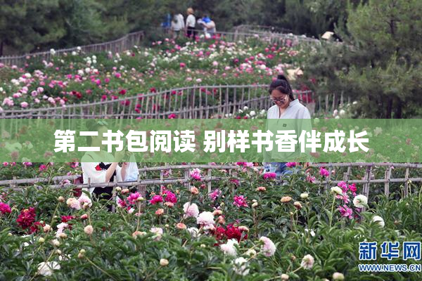 第二书包阅读 别样书香伴成长
