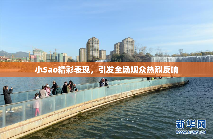 小Sao精彩表现，引发全场观众热烈反响