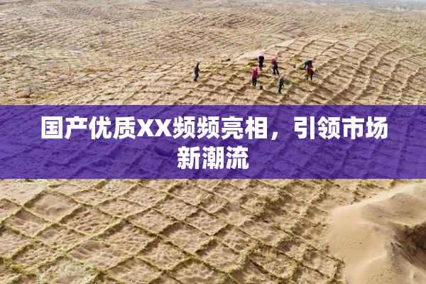 国产优质XX频频亮相，引领市场新潮流