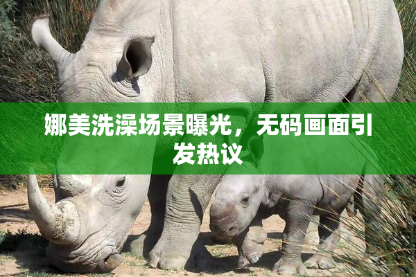 娜美洗澡场景曝光，无码画面引发热议