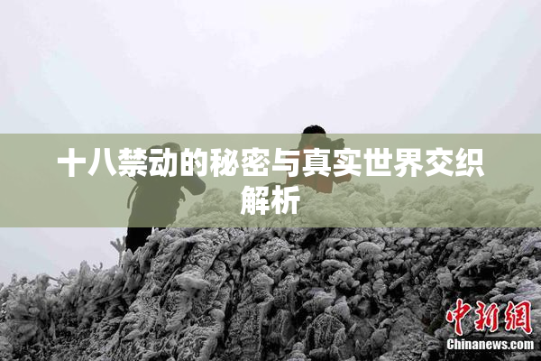 十八禁动的秘密与真实世界交织解析