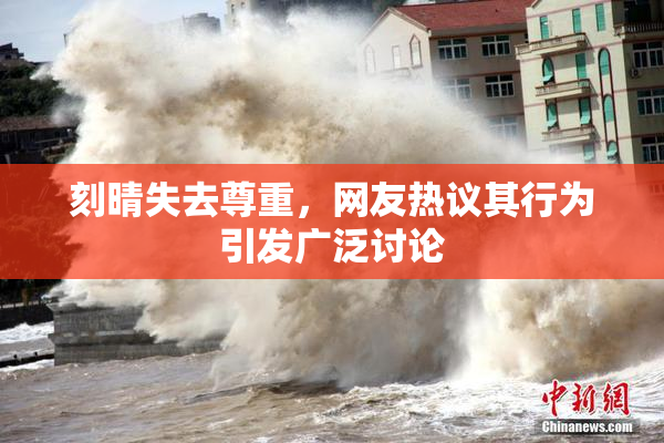 刻晴失去尊重，网友热议其行为引发广泛讨论