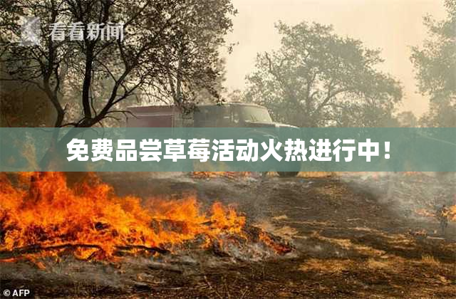免费品尝草莓活动火热进行中！