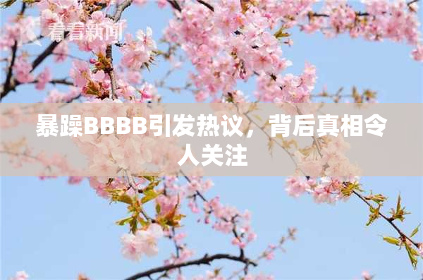 暴躁BBBB引发热议，背后真相令人关注