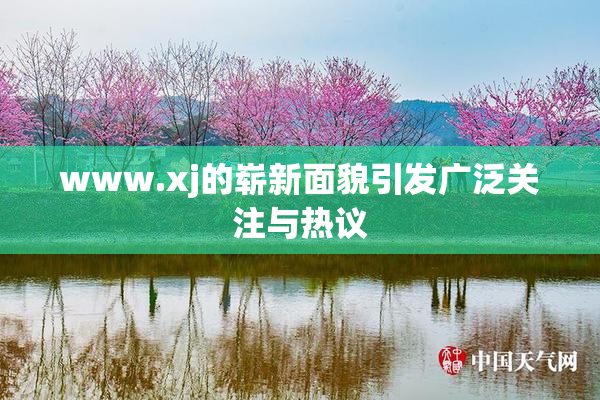 www.xj的崭新面貌引发广泛关注与热议