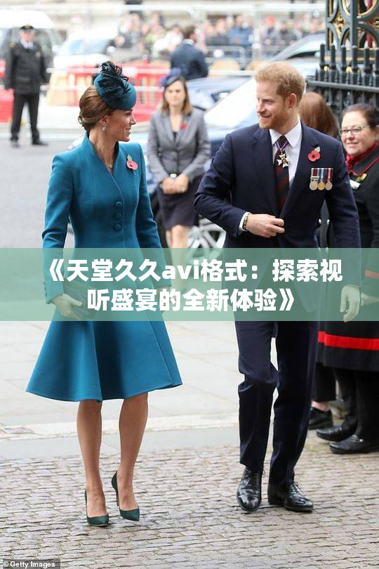 《天堂久久avi格式：探索视听盛宴的全新体验》