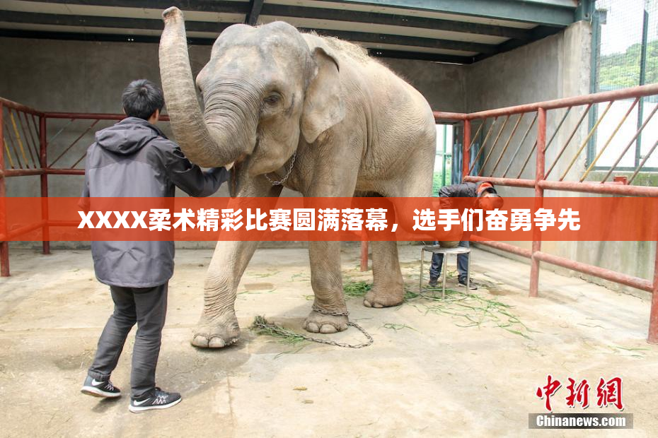 XXXX柔术精彩比赛圆满落幕，选手们奋勇争先
