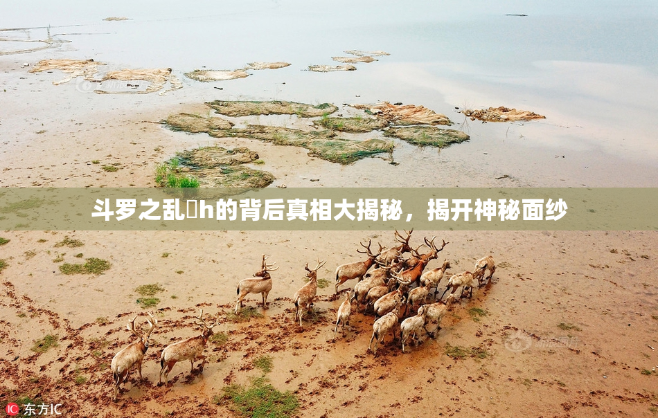 斗罗之乱婬h的背后真相大揭秘，揭开神秘面纱