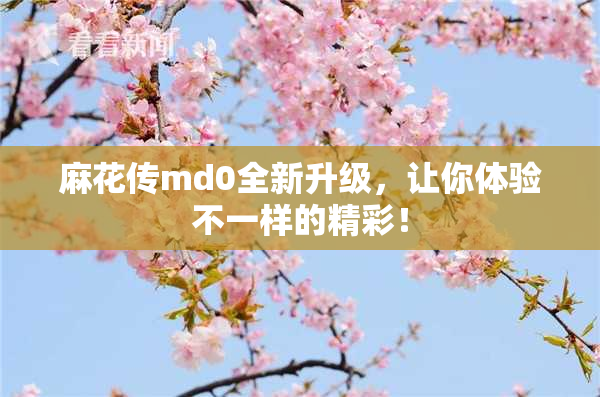 麻花传md0全新升级，让你体验不一样的精彩！