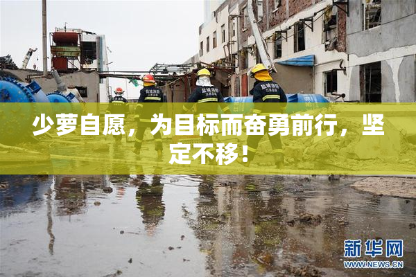 少萝自愿，为目标而奋勇前行，坚定不移！
