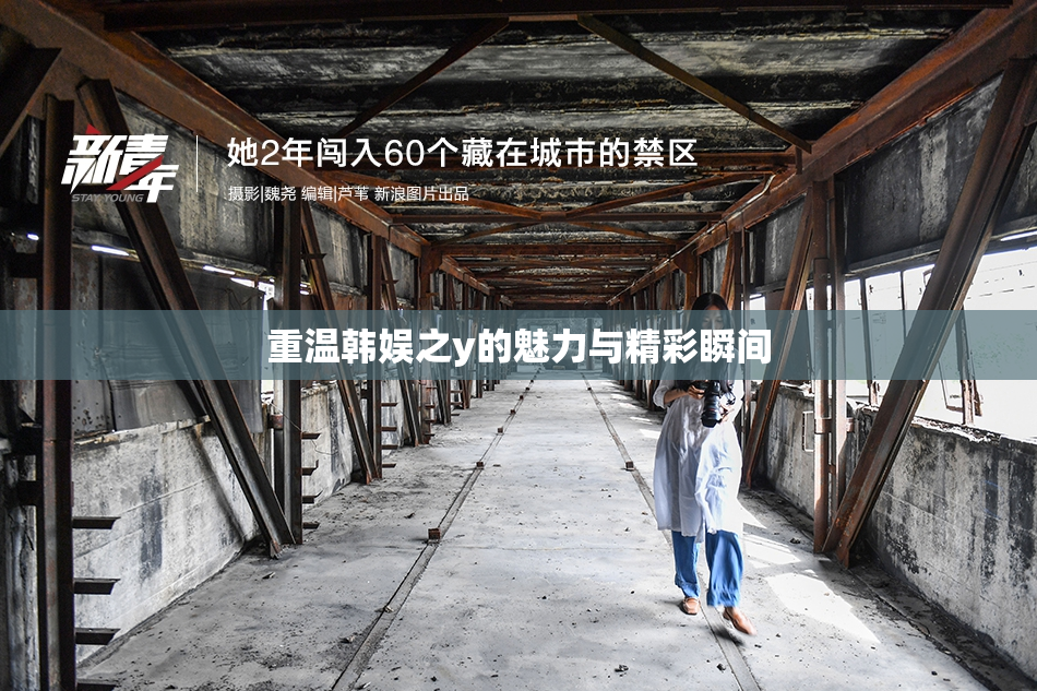 重温韩娱之y的魅力与精彩瞬间