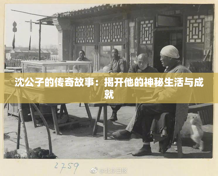 沈公子的传奇故事：揭开他的神秘生活与成就
