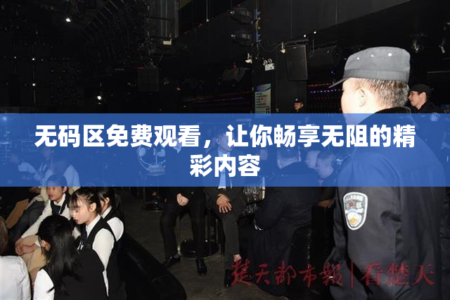 无码区免费观看，让你畅享无阻的精彩内容