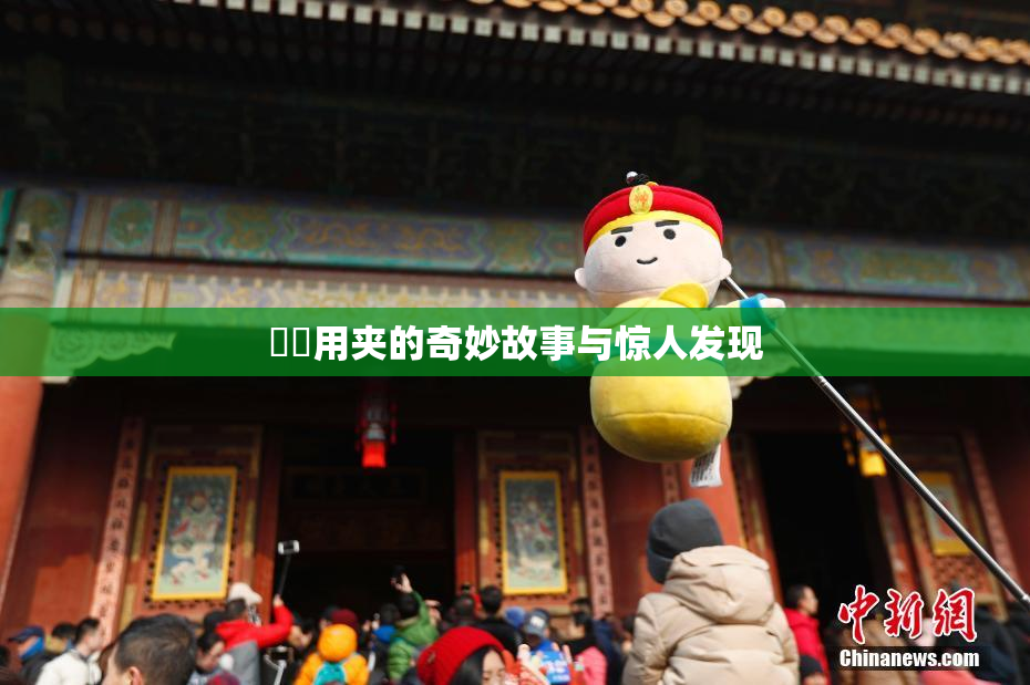 妺妺用夹的奇妙故事与惊人发现
