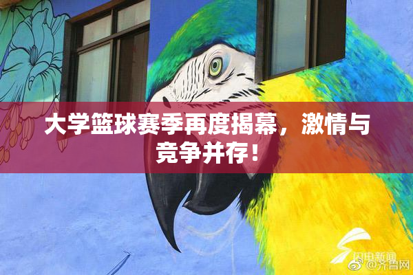大学篮球赛季再度揭幕，激情与竞争并存！
