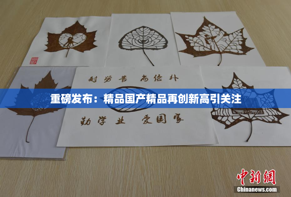 重磅发布：精品国产精品再创新高引关注