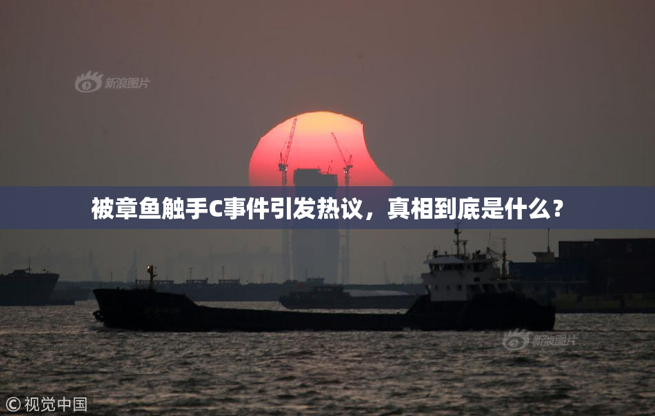被章鱼触手C事件引发热议，真相到底是什么？