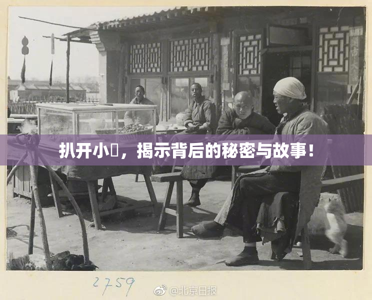 扒开小泬，揭示背后的秘密与故事！