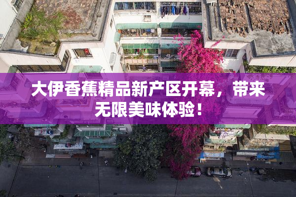 大伊香蕉精品新产区开幕，带来无限美味体验！
