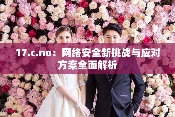 17.c.no：网络安全新挑战与应对方案全面解析