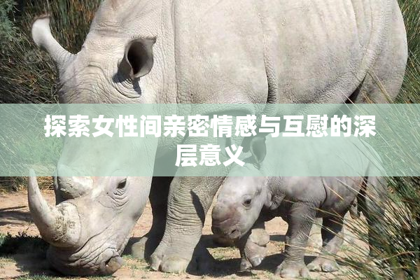 探索女性间亲密情感与互慰的深层意义