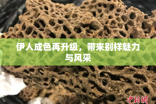 伊人成色再升级，带来别样魅力与风采