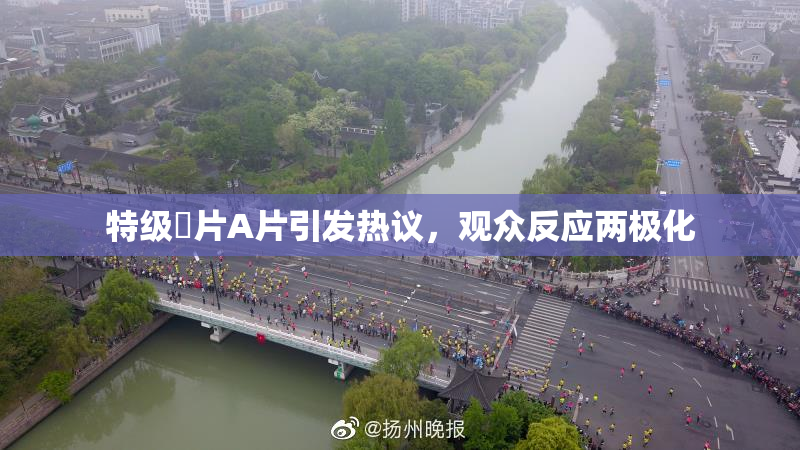 特级婬片A片引发热议，观众反应两极化