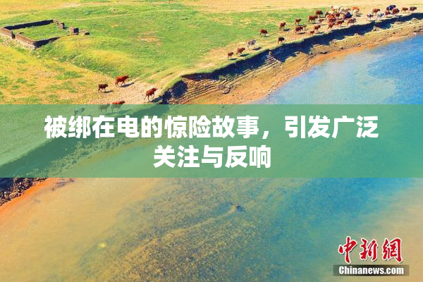 被绑在电的惊险故事，引发广泛关注与反响