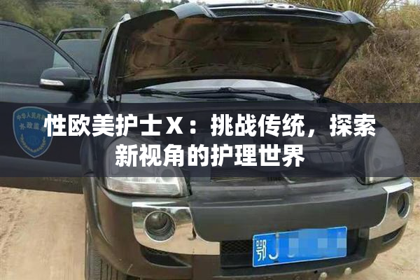 性欧美护士Ⅹ：挑战传统，探索新视角的护理世界