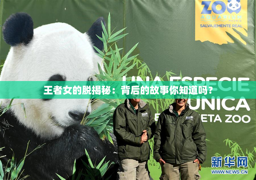 王者女的脱揭秘：背后的故事你知道吗？