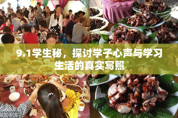 9.1学生秘，探讨学子心声与学习生活的真实写照