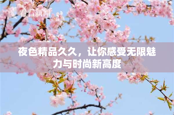 夜色精品久久，让你感受无限魅力与时尚新高度